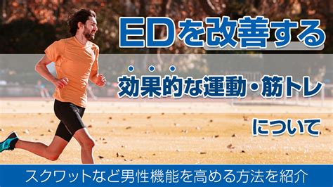 筋トレと性欲|EDを改善する効果的な運動・筋トレについて｜スク 